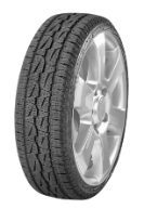 Reifen Bridgestone Dueler A/T 001 Reifen Bridgestone Dueler A/T 001 265/70 R17 116S