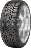 Reifen GoodYear UltraGrip Performance 2 205/55 R16 91H