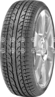 Reifen Avon WV7 Snow Reifen Avon WV7 Snow 205/50 R17 93V